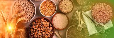 Welcome to Immuno Millets